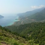 balazsh 2011